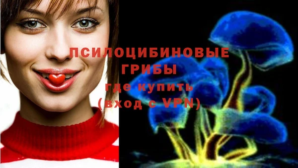 метамфетамин Богданович