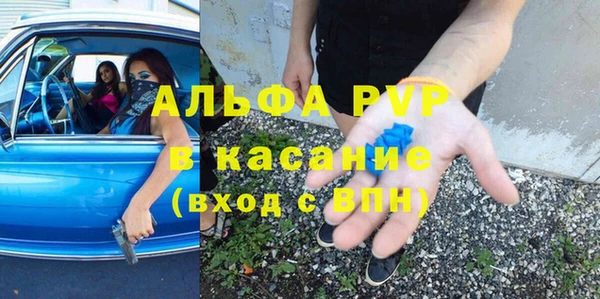 крисы Богородицк