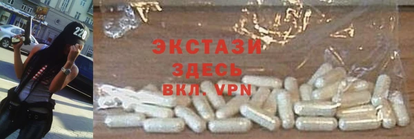 крисы Богородицк