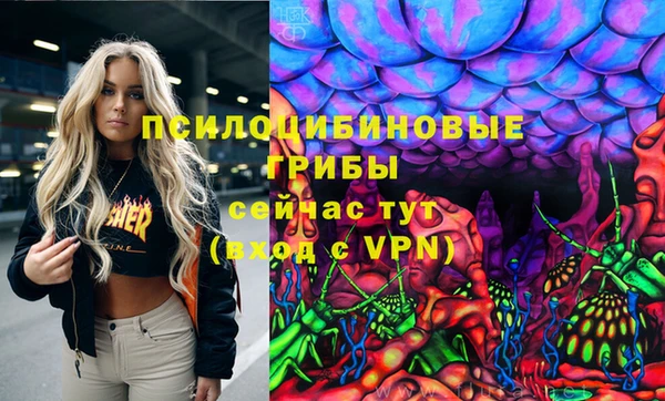 мдпв Бугульма