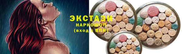 крисы Богородицк