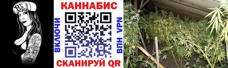 Бошки марихуана Amnesia Володарск
